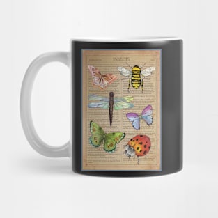 All About Insects Mug